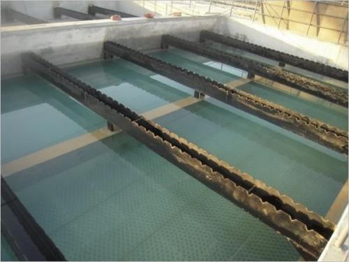 chendianchi3.jpg chendianchi3.jpg